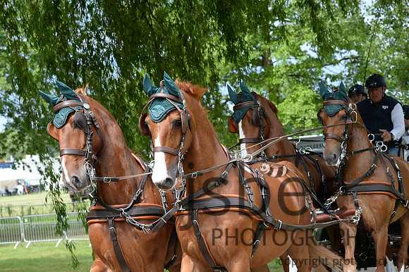 DSC_2017-95