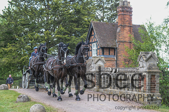 DSC_2081-148