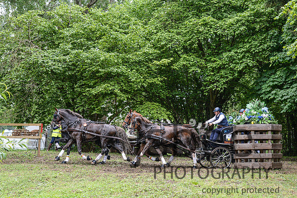 DSC_2172-216