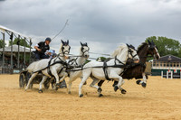 Driving Carriage versus Defender