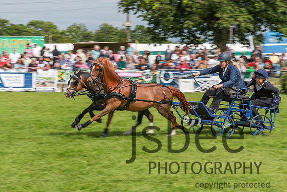 JOE_0950