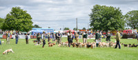 DSC_1750-50