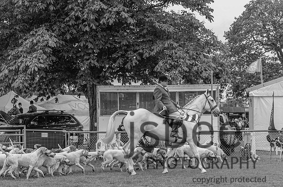 DSC_3533-9