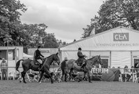 DSC_3536-12