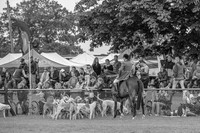 DSC_3544-18