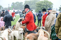 Hound Parade Saturday