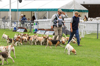 Parade of Foot Packs