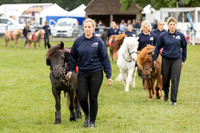 Shetland Pony Grand National Finals Sunday
