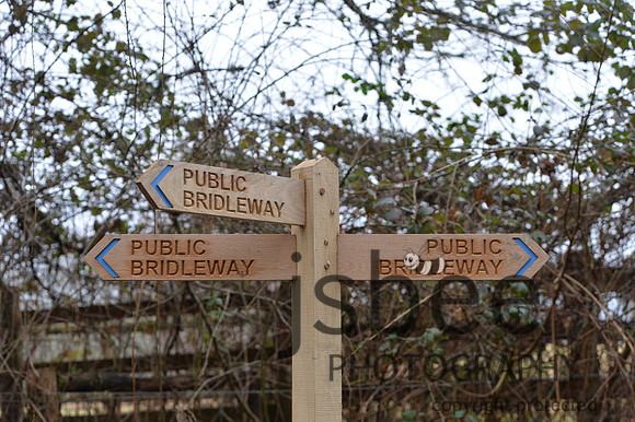 DSB_7865-82