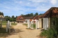 Colour Images