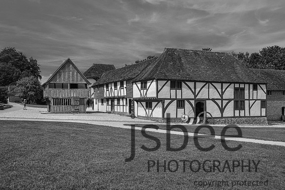 DSC_2521-1