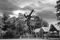 DSC_2526-6