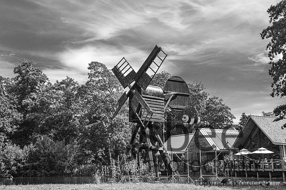 DSC_2526-6