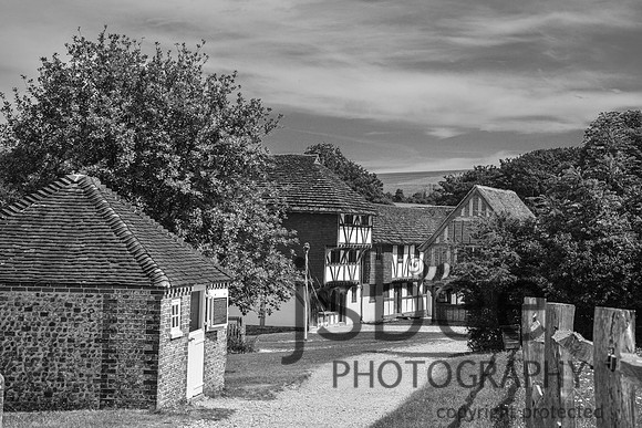 DSC_2531-11