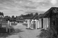 Black & White Images