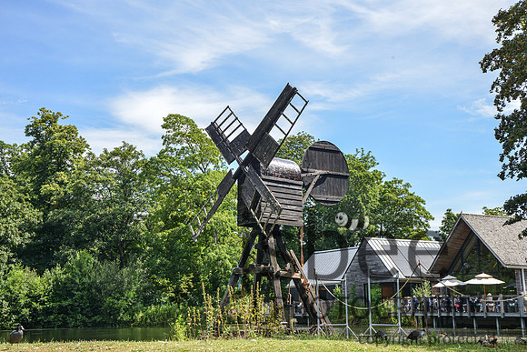 DSC_2526-6