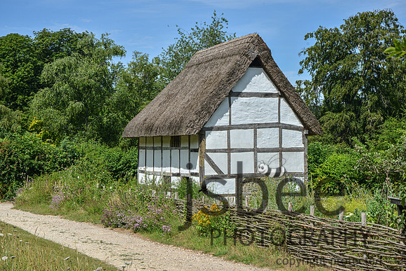 DSC_2532-12