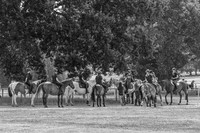 DSC_4156-2