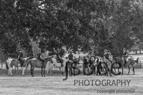 DSC_4156-2