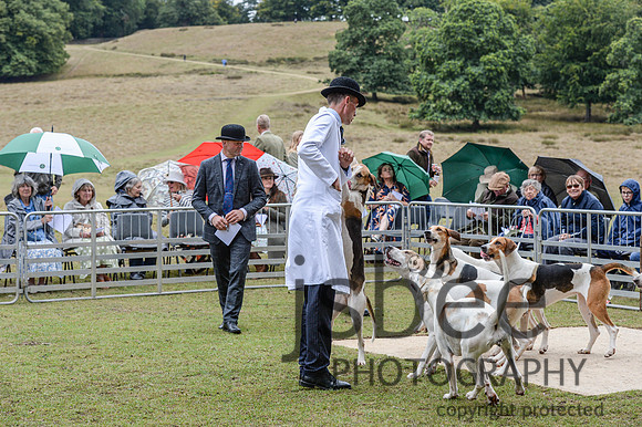DSC_5367-12