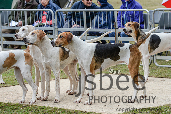 DSC_5375-19