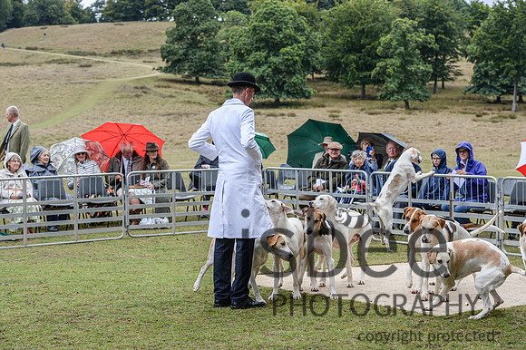 DSC_5369-14