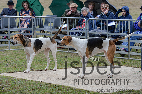 DSC_5390-31