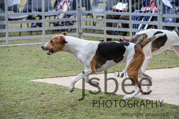 DSC_5393-32