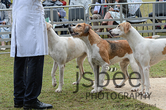 DSC_5422-51