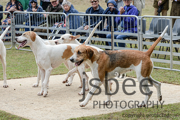 DSC_5423-52
