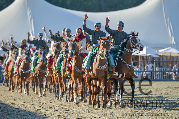 DSC_7094-16