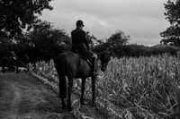 DSC_6478-1