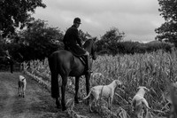 DSC_6479-2
