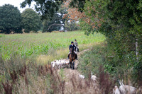 DSC_6502-12