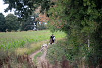 DSC_6500-10