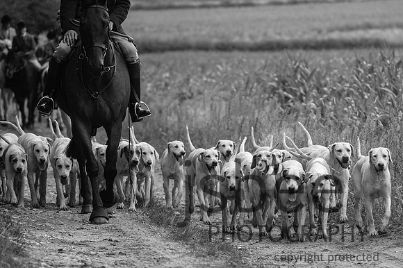 DSC_6557-46