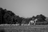 DSC_6759-1