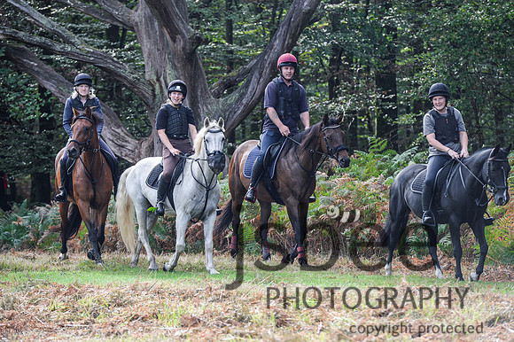 DSC_6896-5