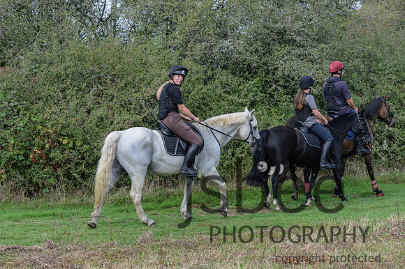 DSC_6904-12