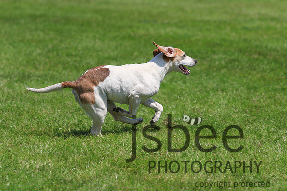 JOE_6540