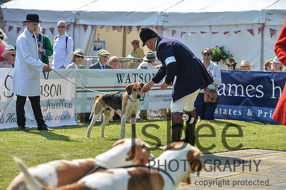 DSB_3702-15