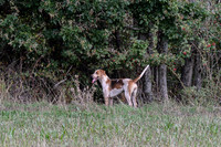 DSC_8252-23