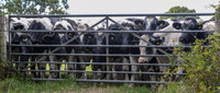 DSC_7891-4