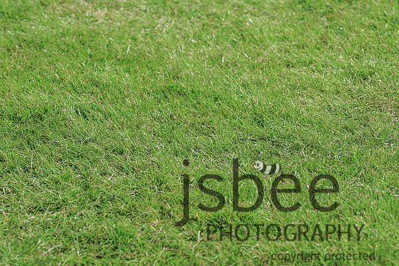 JOE_6139