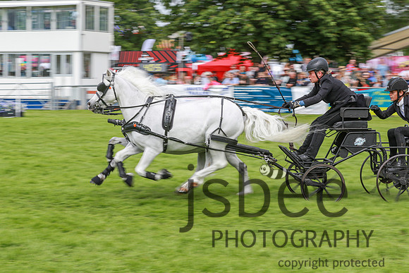 JOE_0834