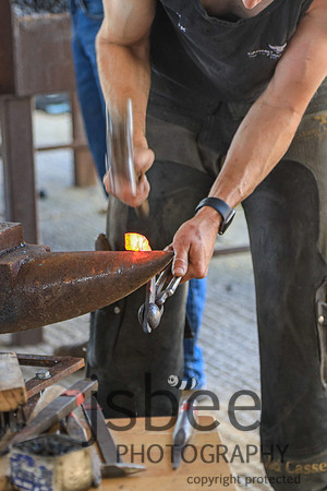 JOB_5351