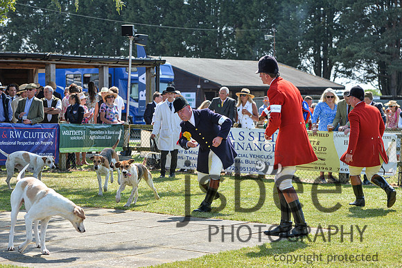 DSB_4058-250
