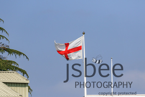 JOE_6066