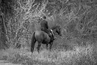 DSC_8276-36