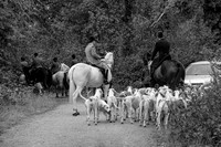 DSC_8305-19